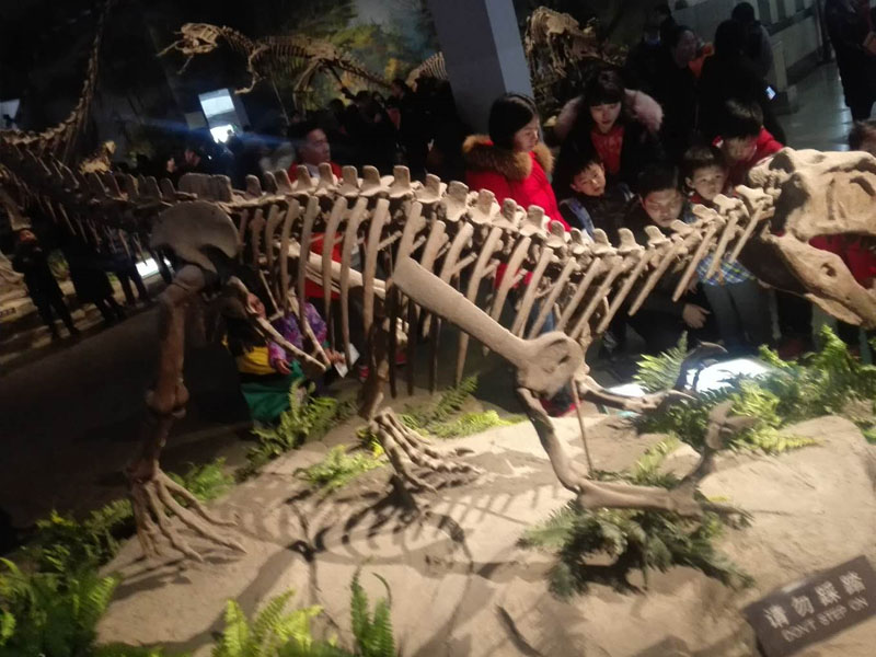 恐龙博物馆2