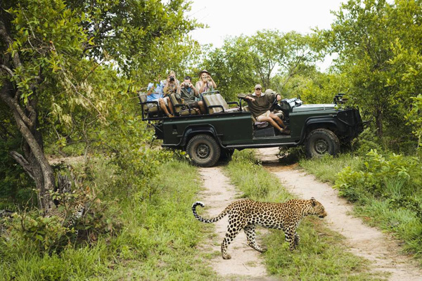 肯尼亚-南非野生动物保护区002-锐景