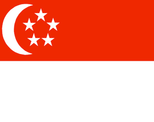 新加坡个人签证
