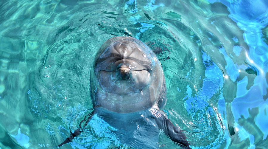 长隆欢乐世界旅游