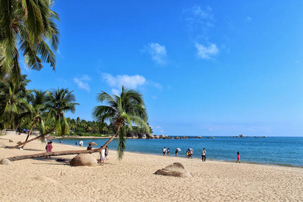 【康养海花岛】中国海花岛火车双座十日游