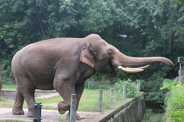 珠海长隆海洋王国旅游