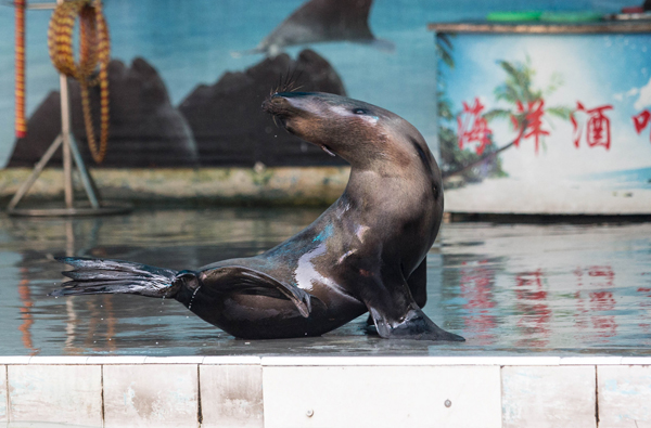 珠海长隆海洋王国旅游