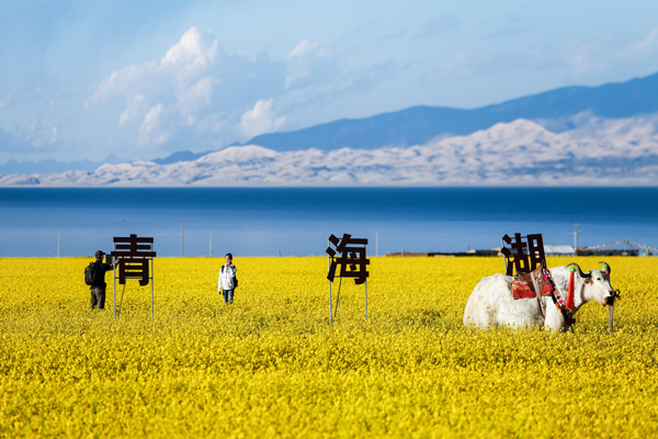 青海旅游