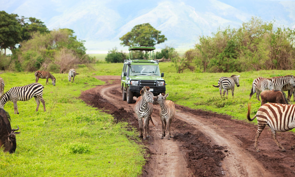 【狂野肯尼亚】肯尼亚10天高品动物追逐之旅（成都起止，可配全国联运）
