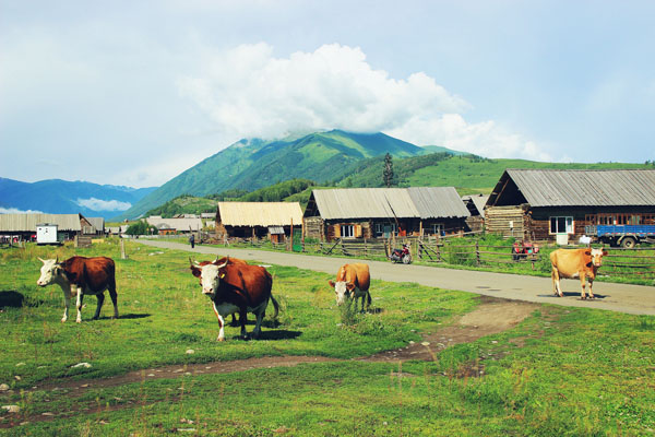 新疆旅游