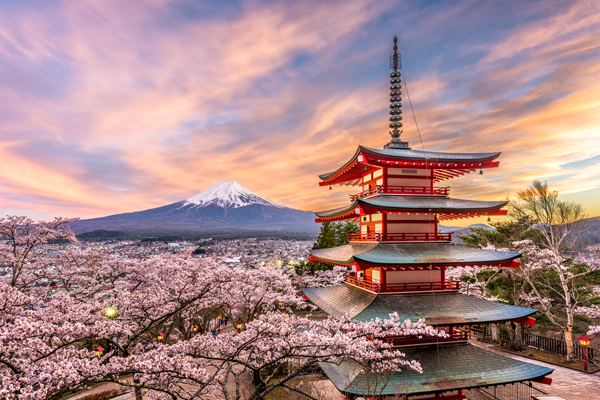 日本清水寺富士山樱花