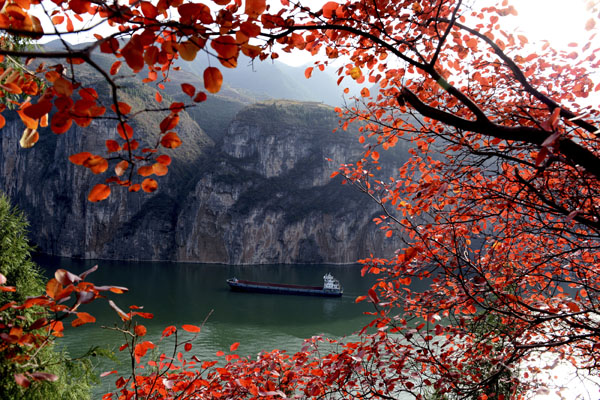 三峡红叶006