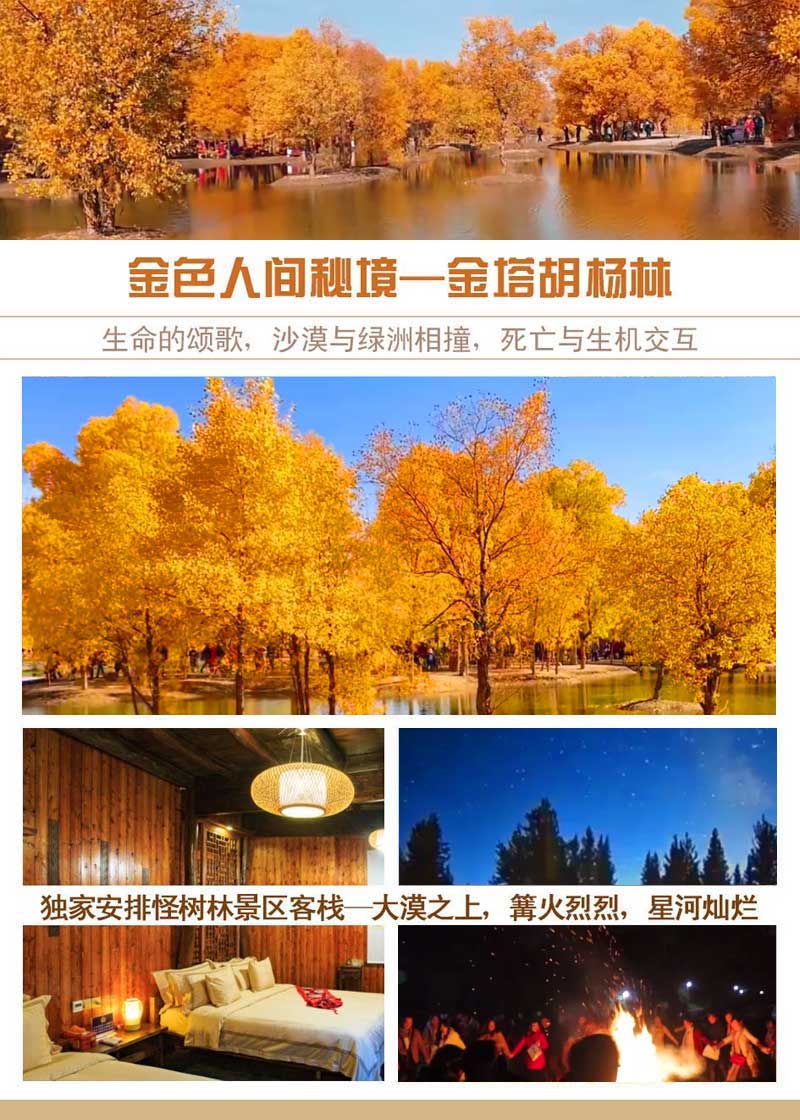 金塔胡杨林广告设计